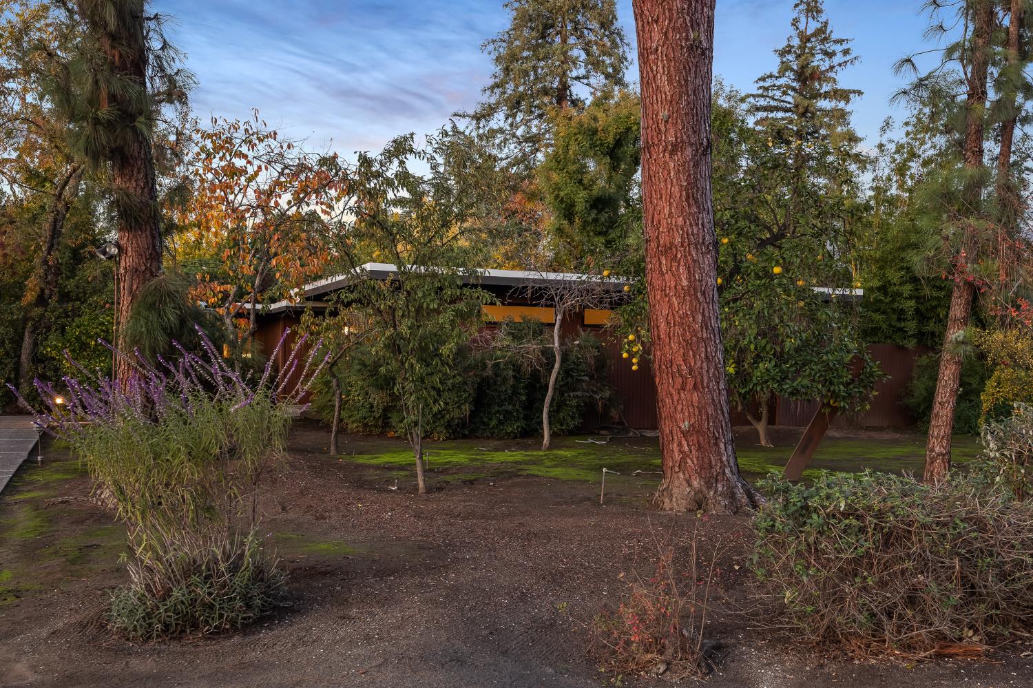 1135 E Santa Ana Avenue