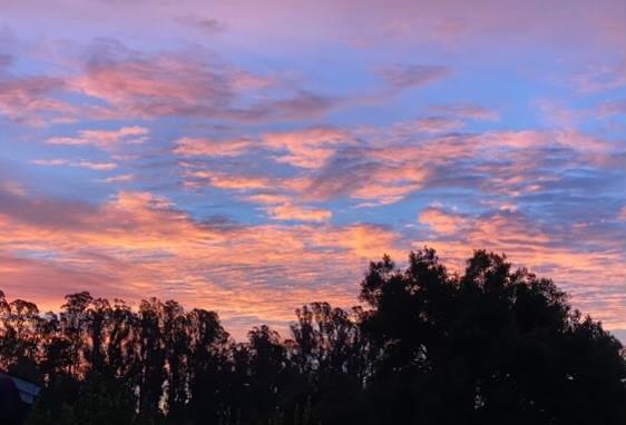 800 Ranchitos Del Sol