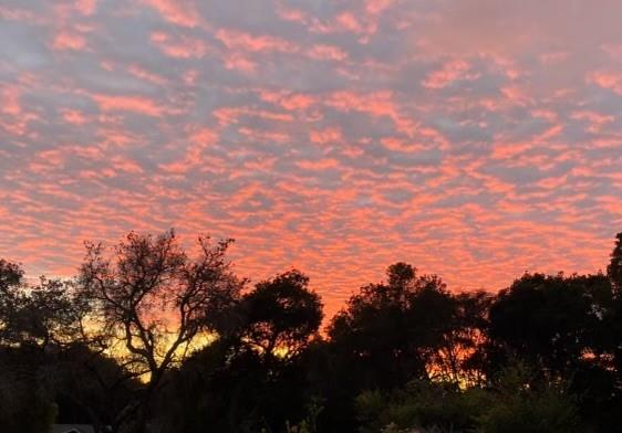 800 Ranchitos Del Sol