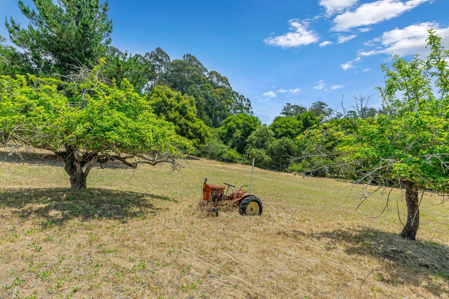 800 Ranchitos Del Sol