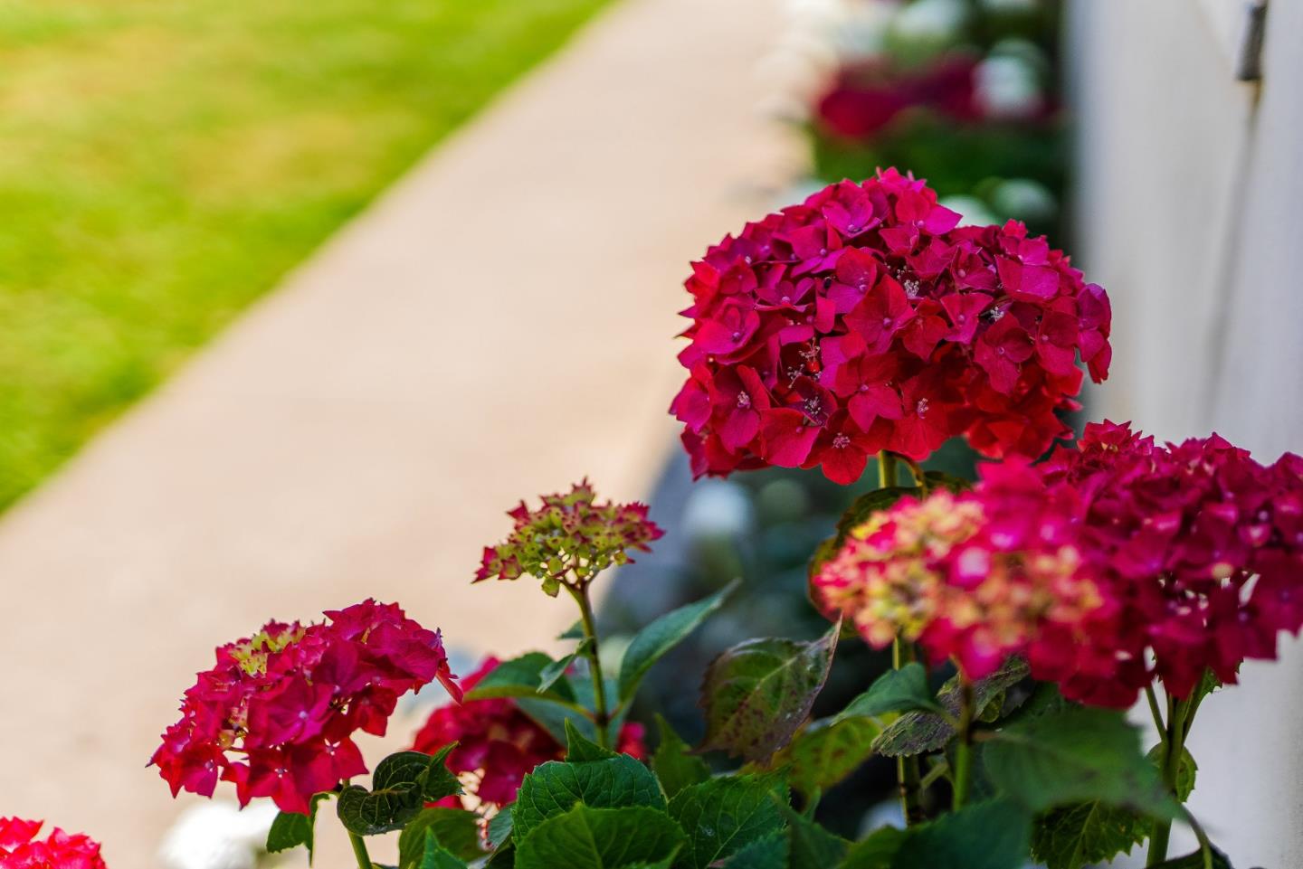 650 Green Valley Road