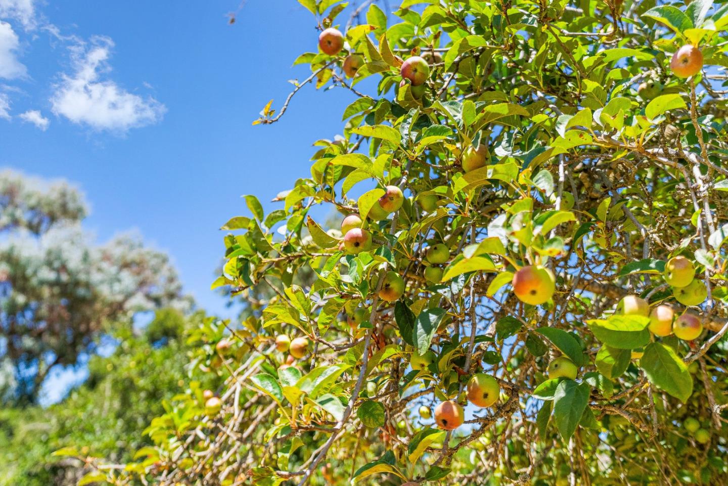 676 Pleasant Valley Lane