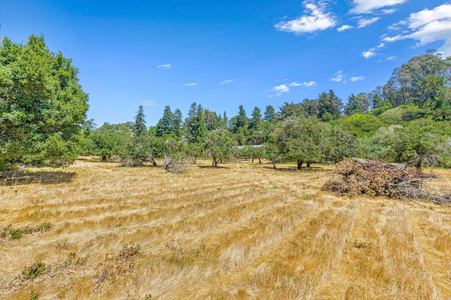 676 Pleasant Valley Lane