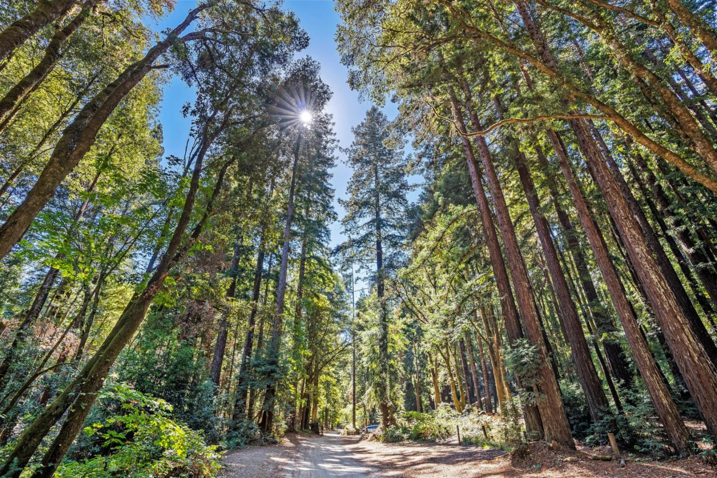 231 Aptos School Road