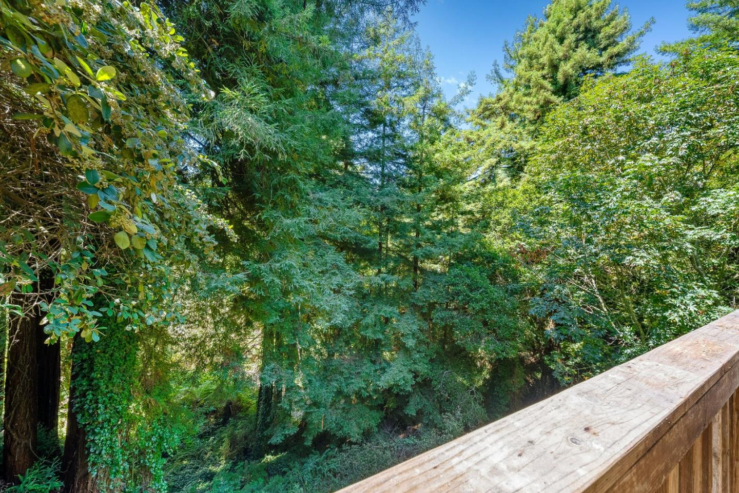 146 Aptos School Road