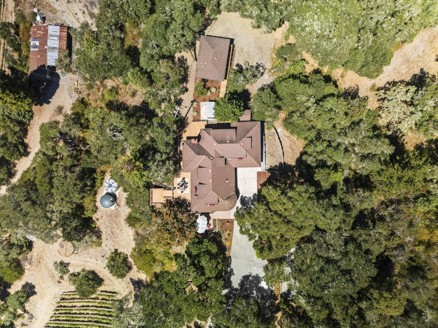 50 Magnifico Vita LN