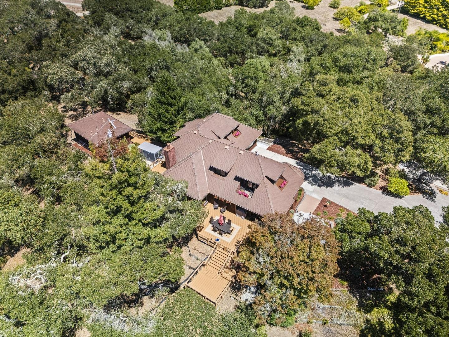 50 Magnifico Vita LN