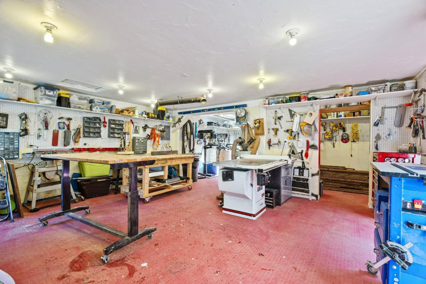 50 Magnifico Vita LN