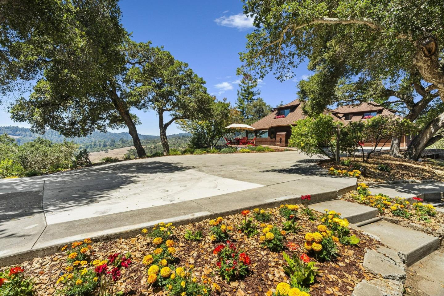 50 Magnifico Vita LN
