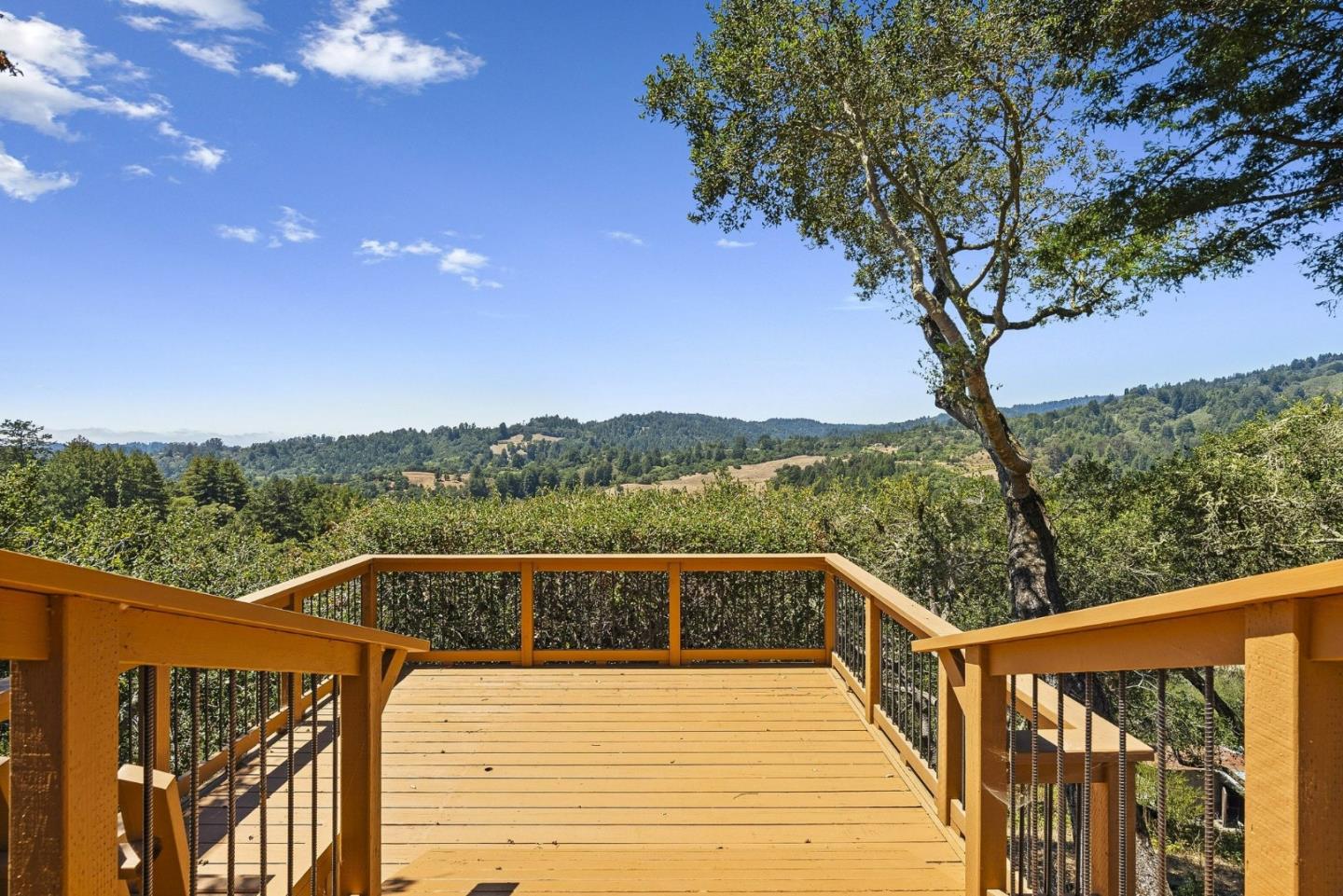 50 Magnifico Vita LN