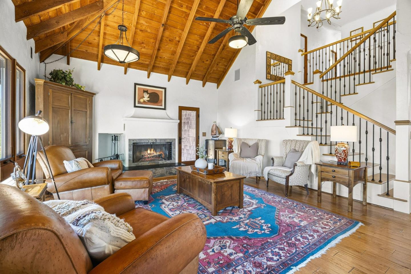 50 Magnifico Vita LN