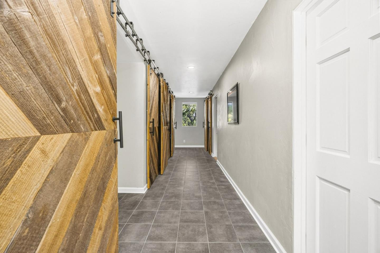 50 Magnifico Vita LN