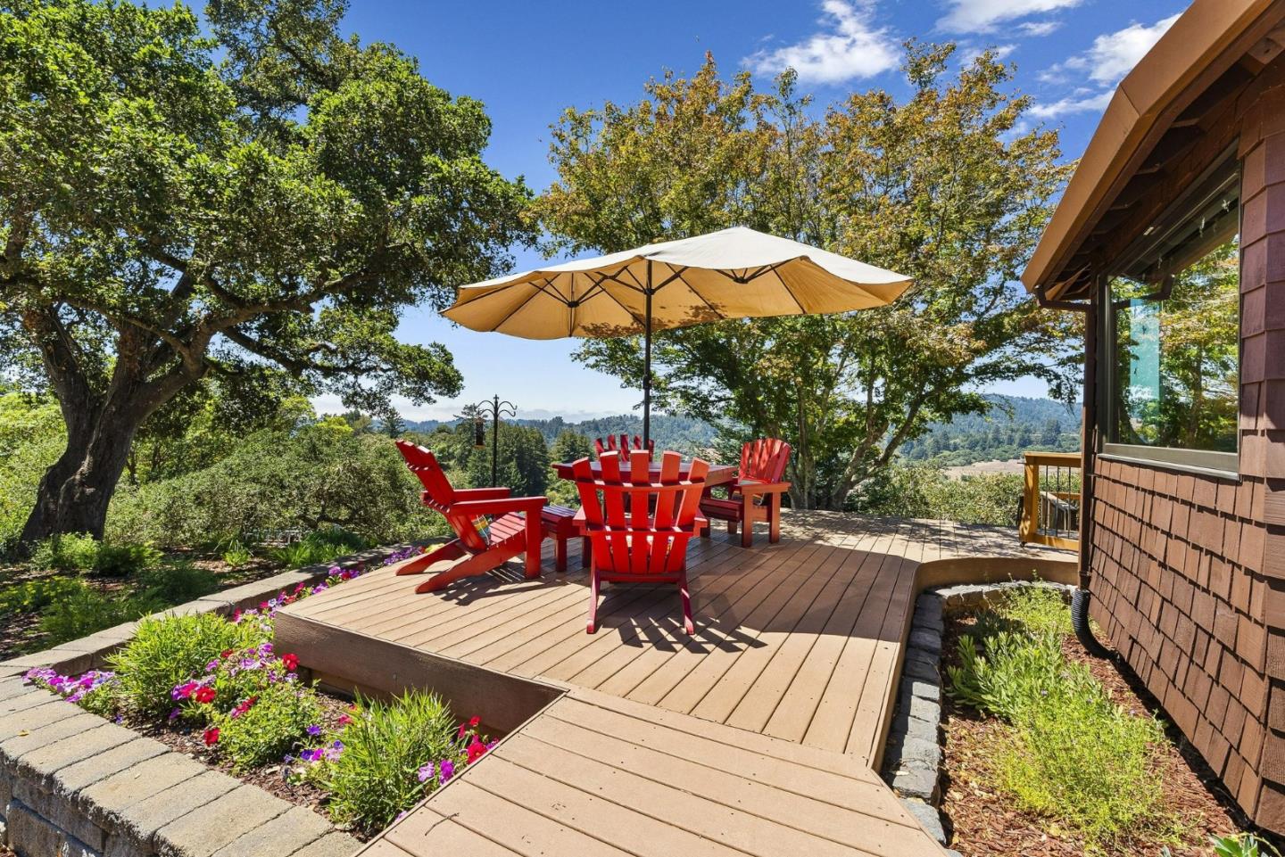 50 Magnifico Vita LN