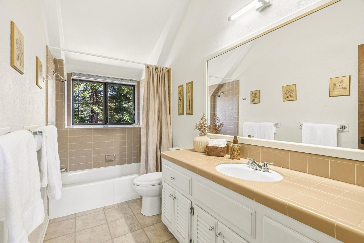 50 Magnifico Vita LN