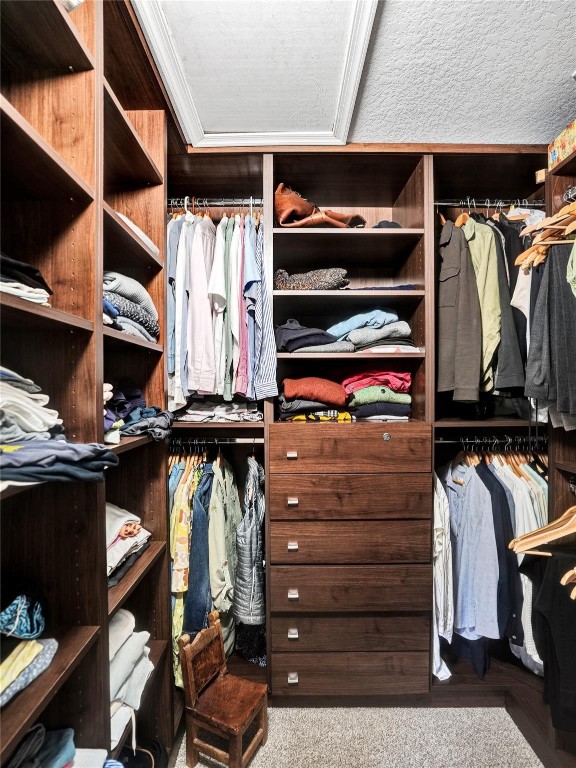 4020 Staghorn Lane, Weston