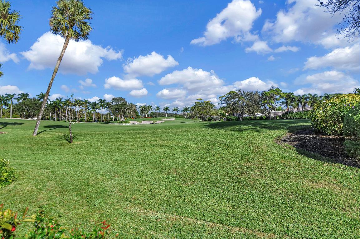 16802 Rose Apple Drive W