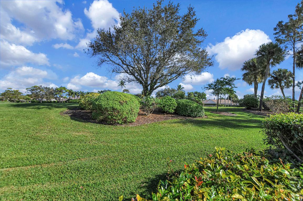 16802 Rose Apple Drive W