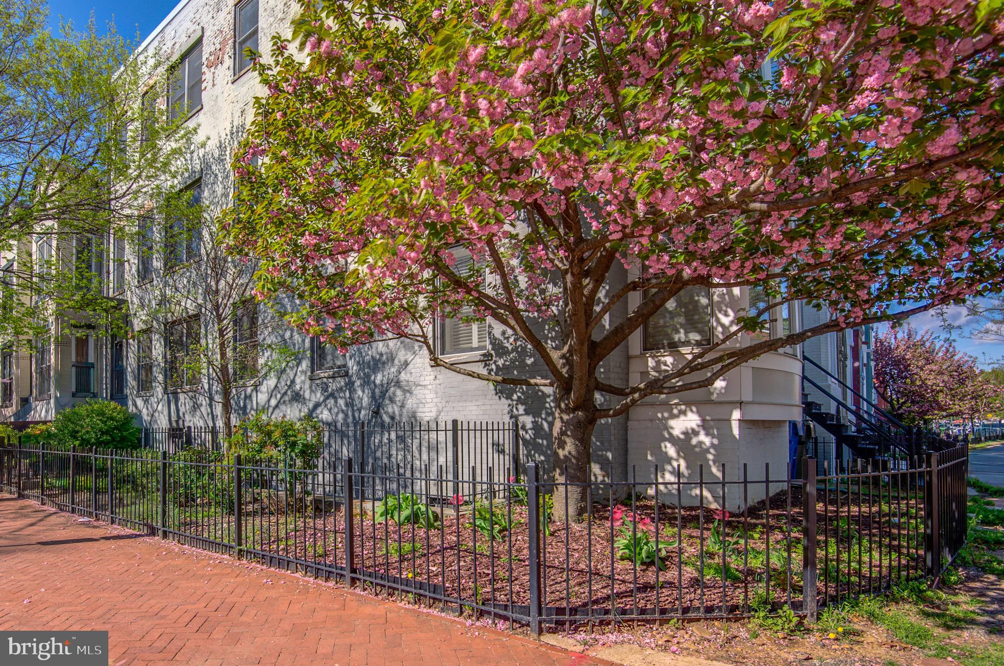 1240 4TH STREET NW T