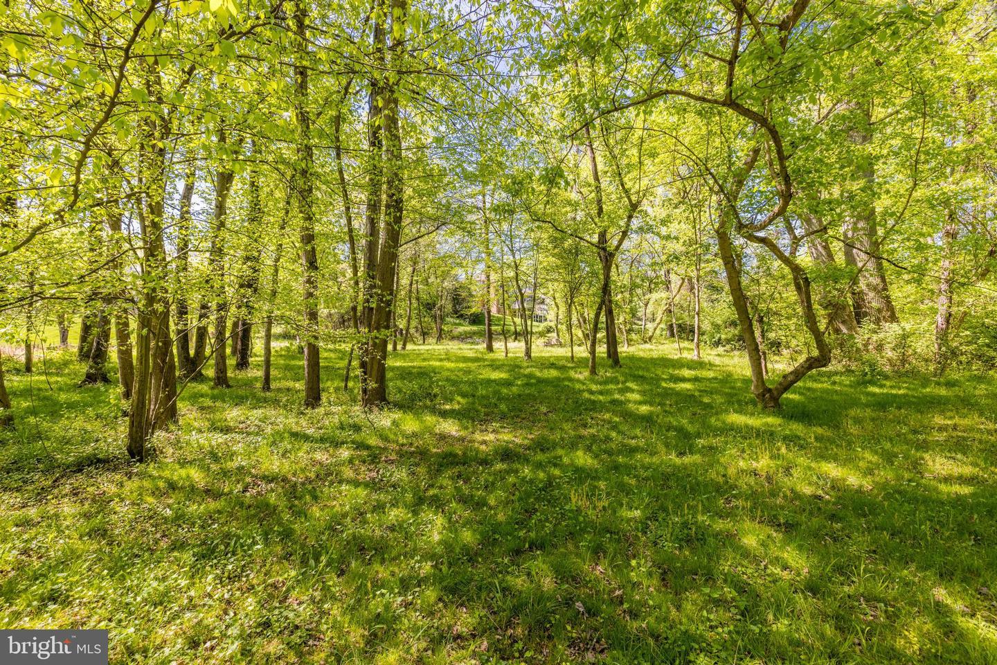10002 Thompson Ridge COURT