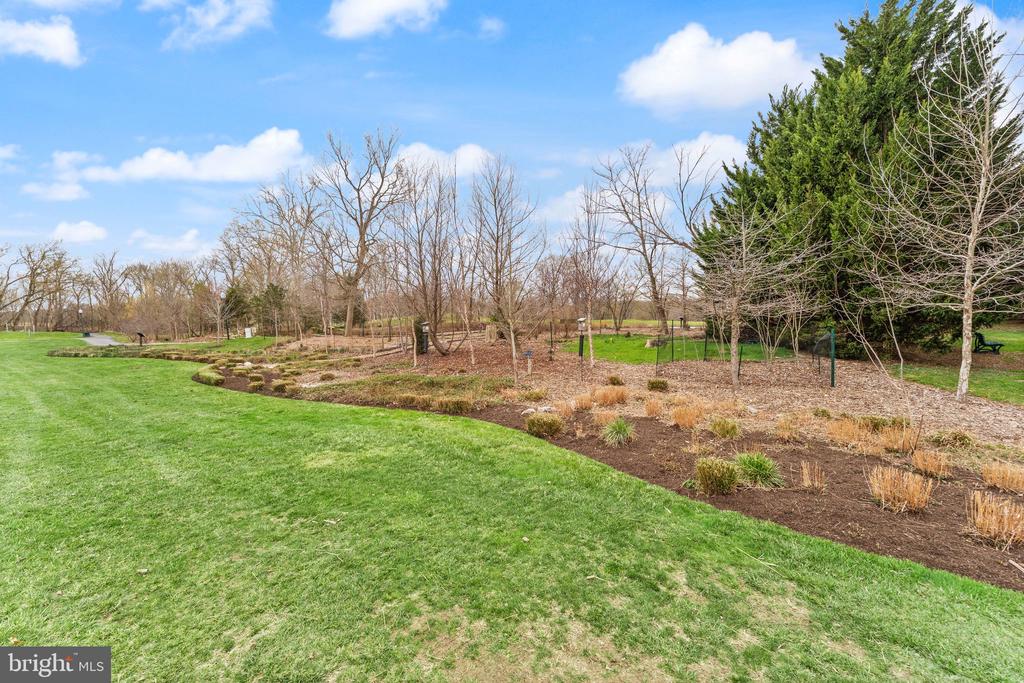 43524 Jackson Hole Cir