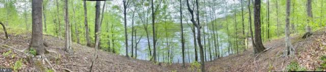 11429 Occoquan Oaks Ln