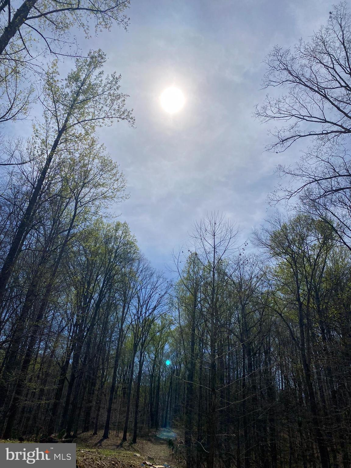 11429 Occoquan Oaks Ln