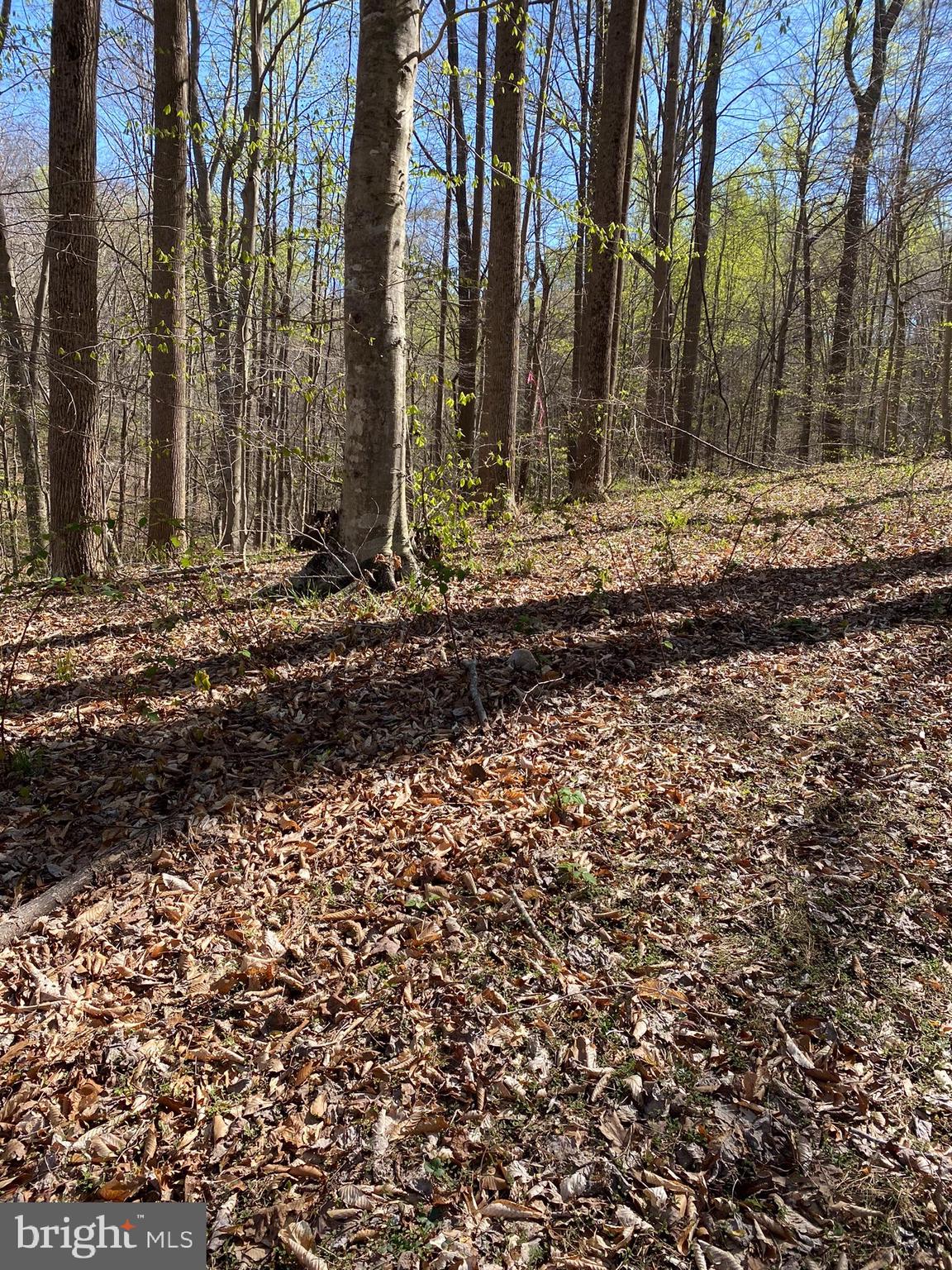 11429 Occoquan Oaks Ln