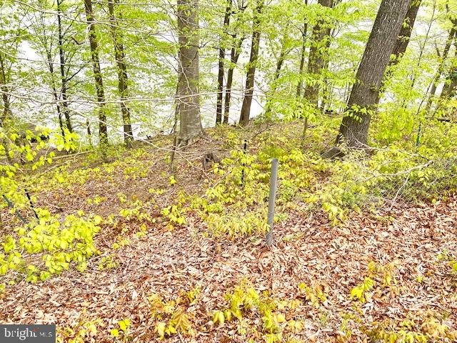 11429 Occoquan Oaks Ln