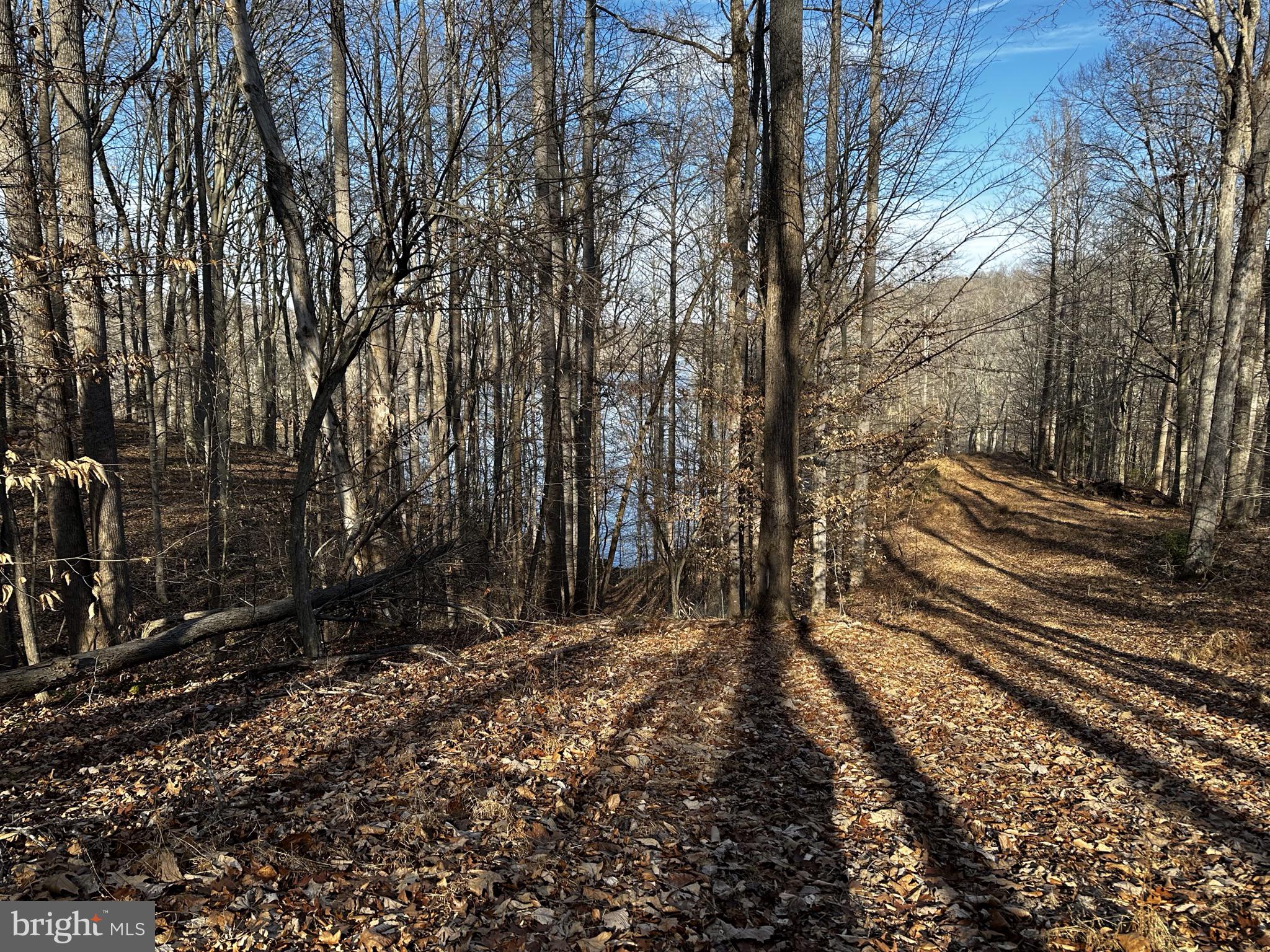 11429 Occoquan Oaks Ln