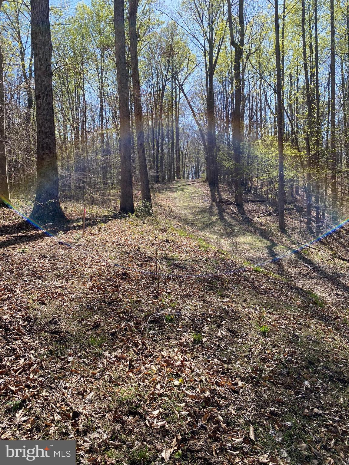 11429 Occoquan Oaks Ln