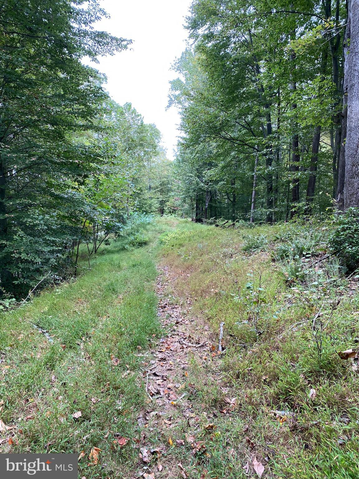 11429 Occoquan Oaks Ln