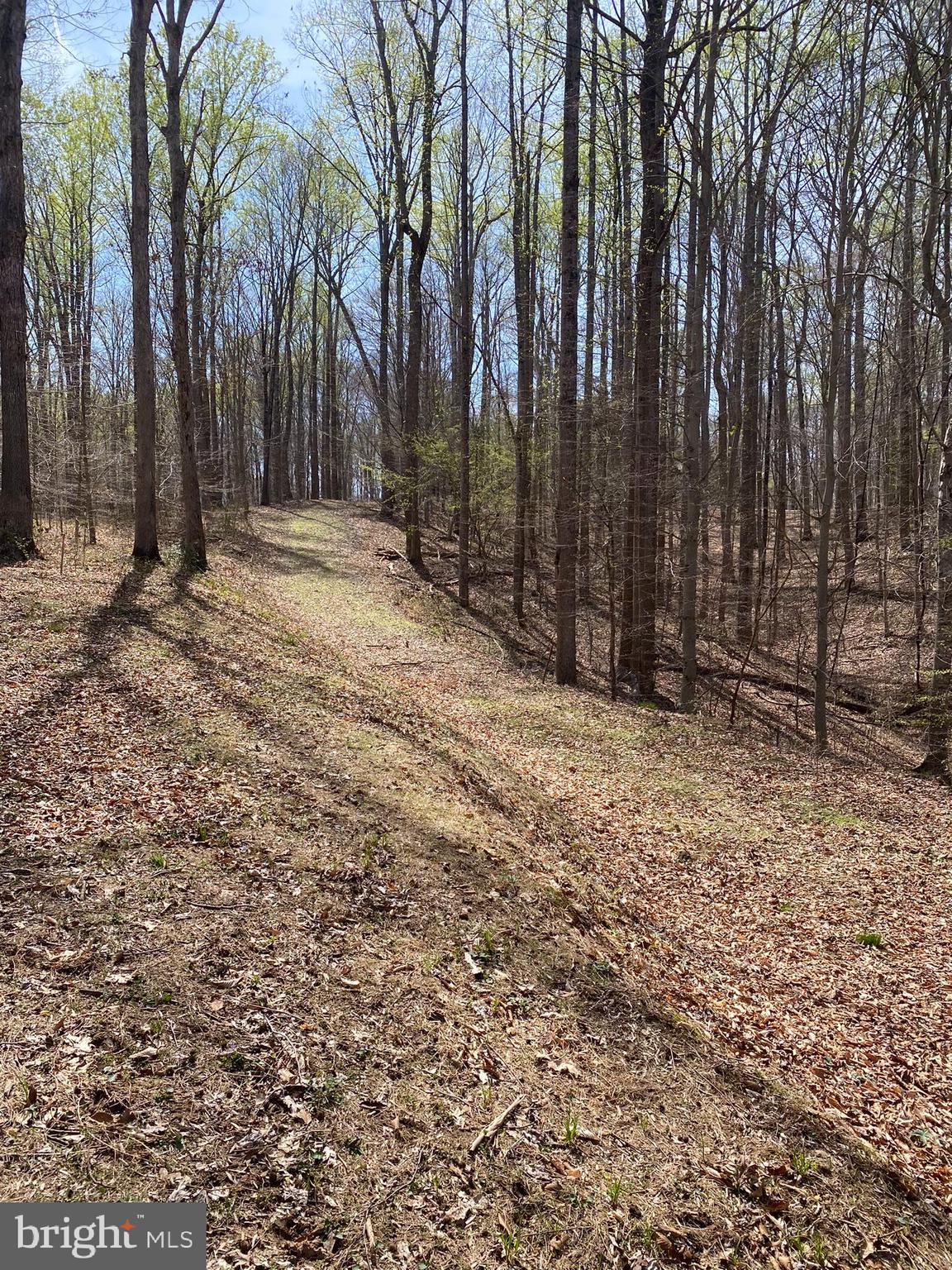 11429 Occoquan Oaks Ln