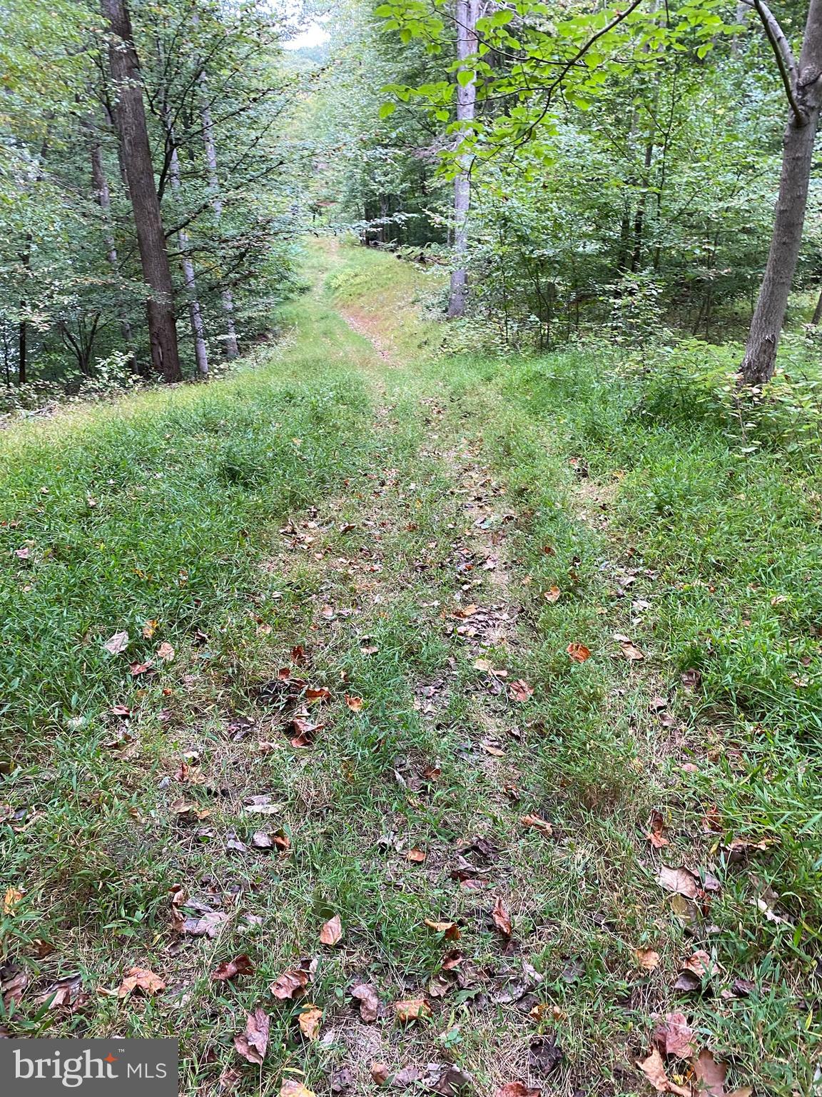 11429 Occoquan Oaks Ln