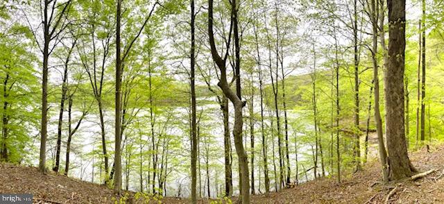 11429 Occoquan Oaks Ln