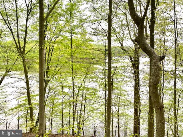 11429 Occoquan Oaks Ln