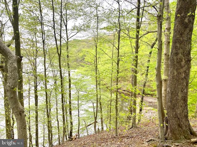 11429 Occoquan Oaks Ln