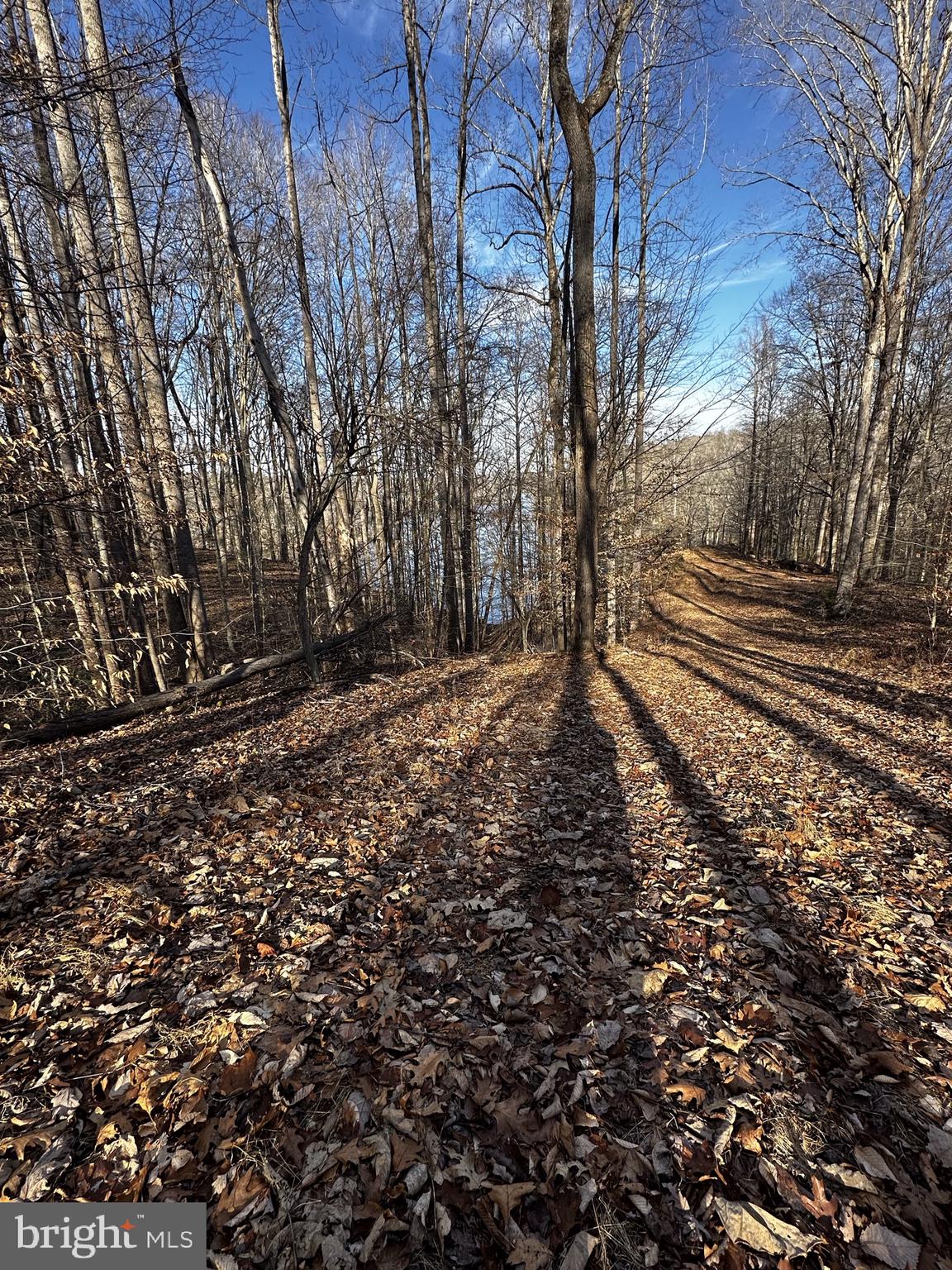 11429 Occoquan Oaks Ln