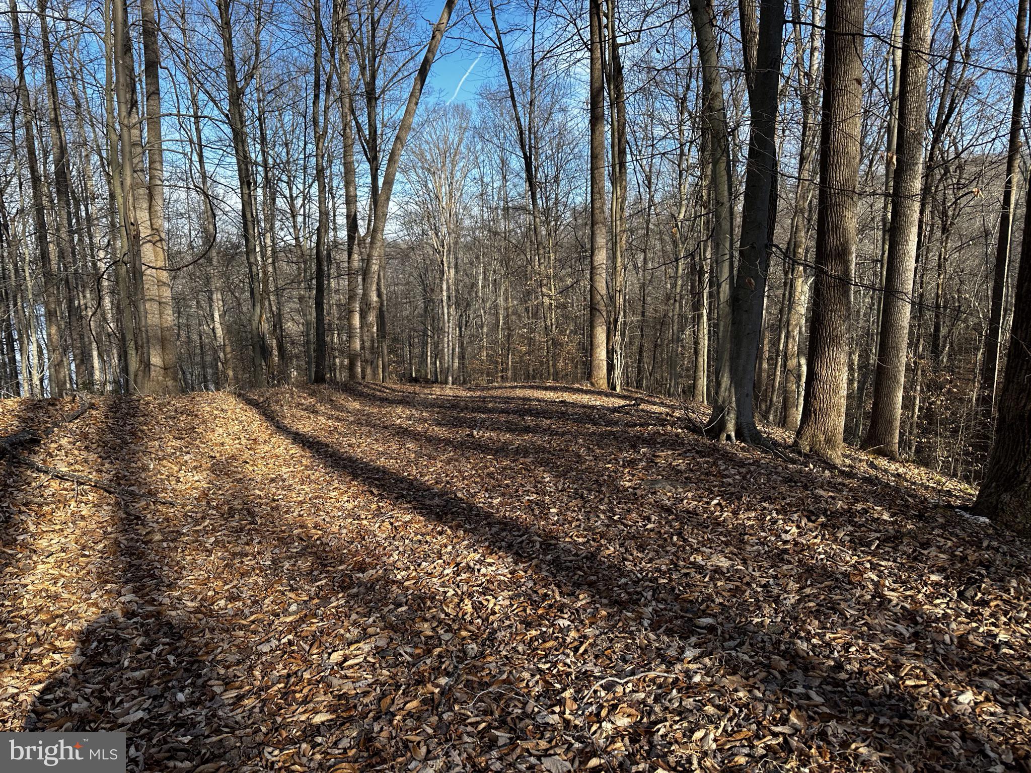 11429 Occoquan Oaks Ln