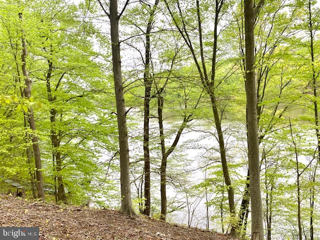 11429 Occoquan Oaks Ln