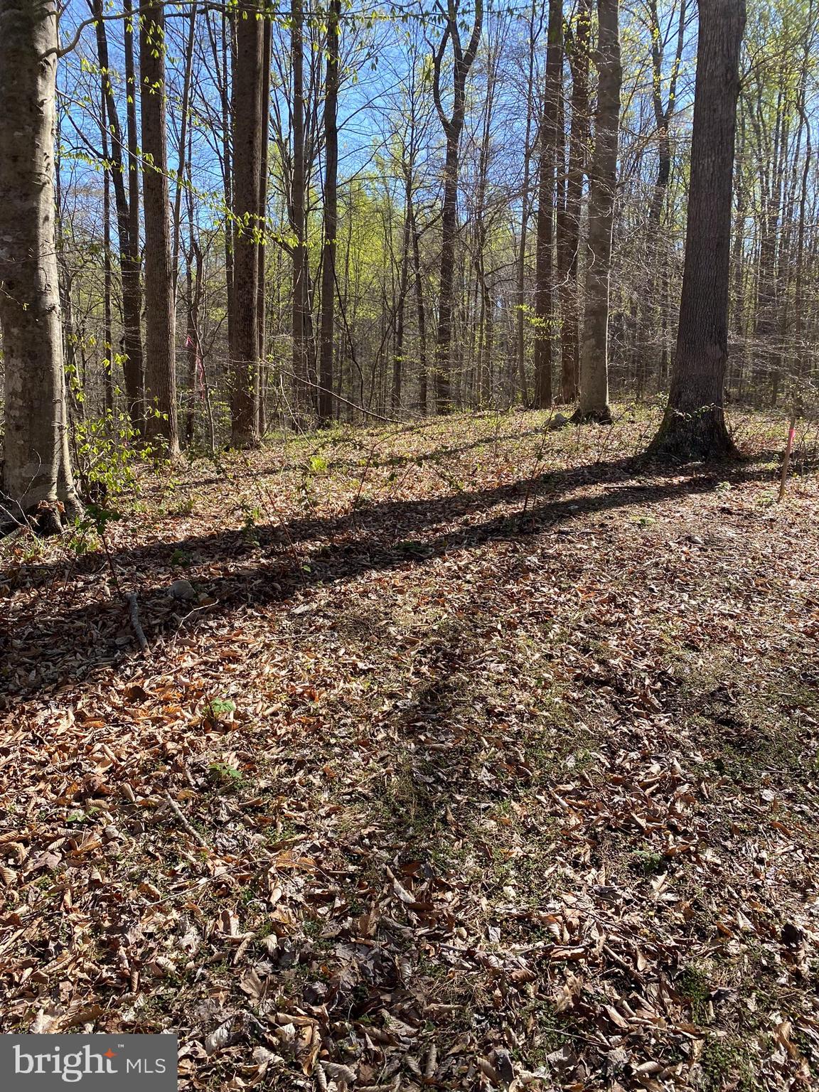 11429 Occoquan Oaks Ln