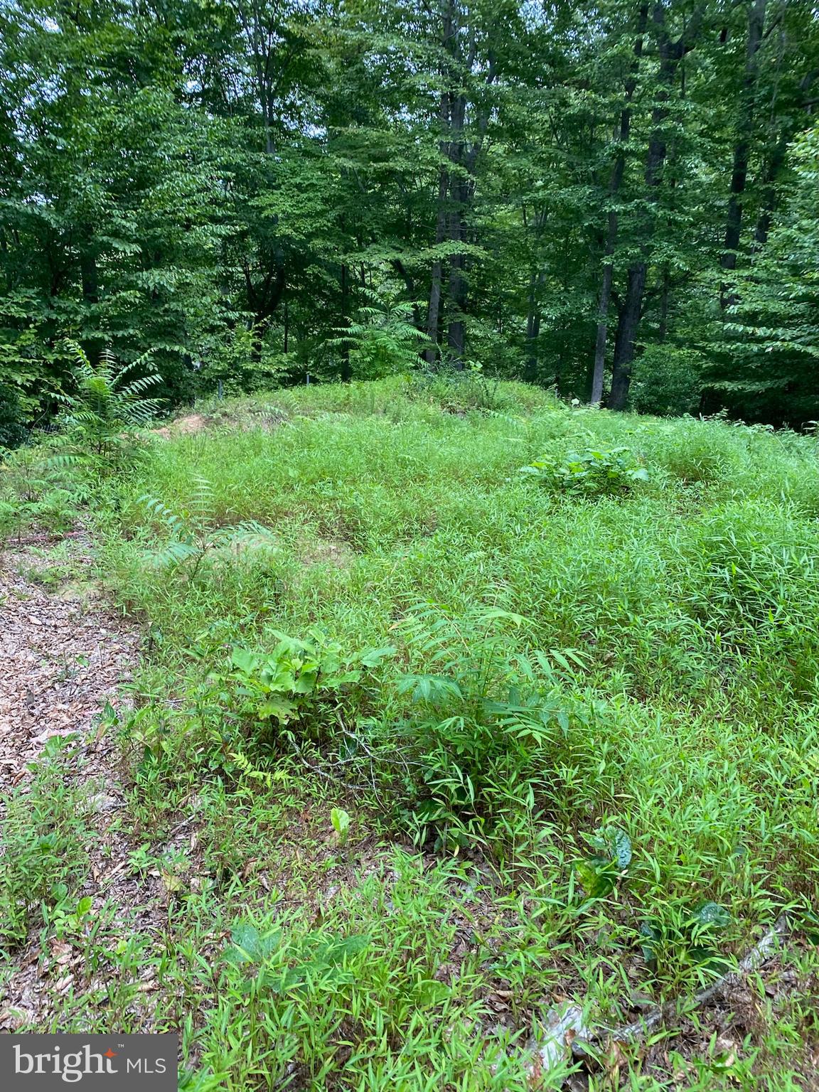 11429 Occoquan Oaks Ln