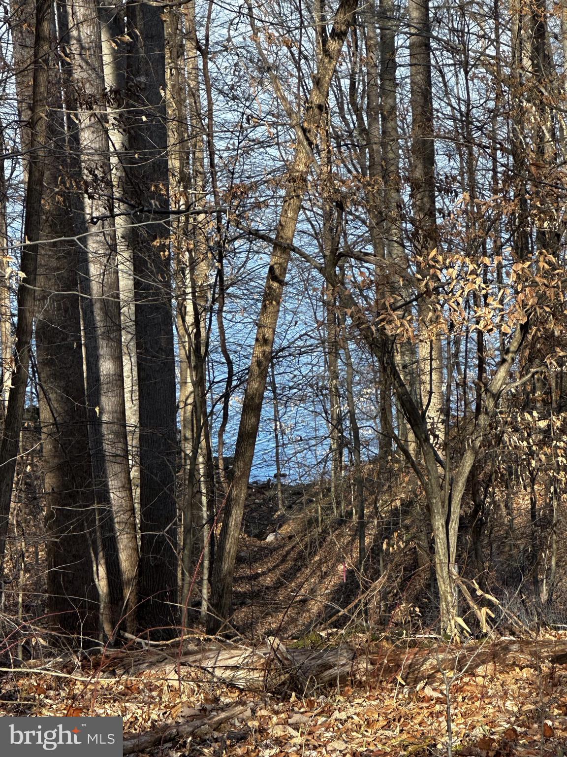 11429 Occoquan Oaks Ln