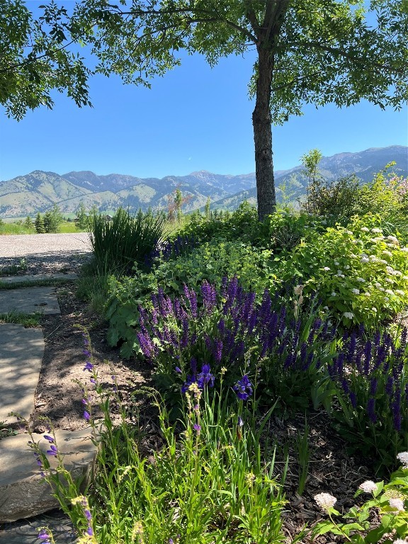 618 Autumn Ridge Road