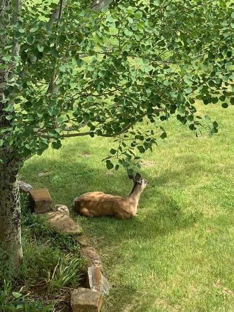 618 Autumn Ridge Road