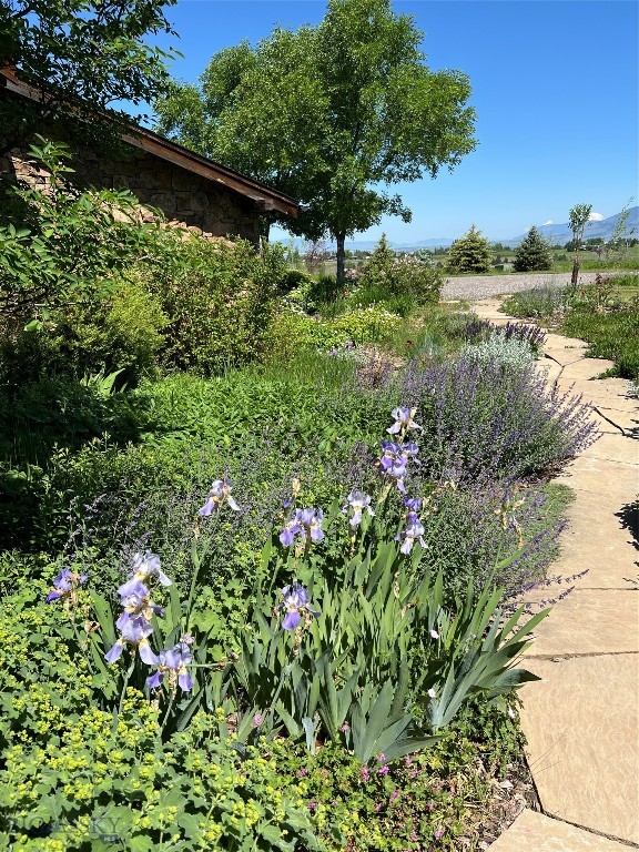 618 Autumn Ridge Road