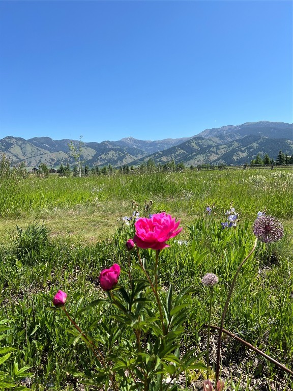 618 Autumn Ridge Road