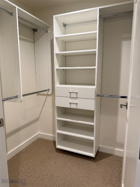 116 N Bozeman 301