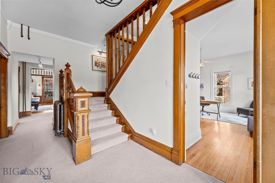 319 S Willson