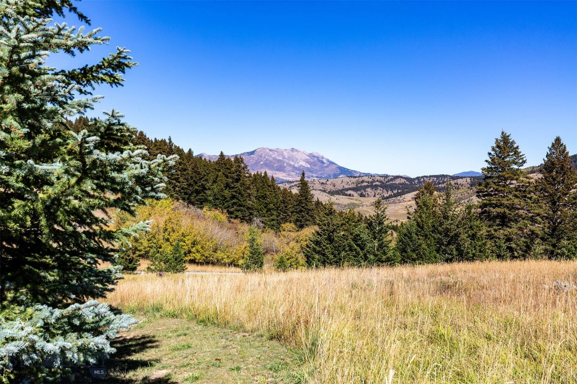 340 Silver Tip Trail