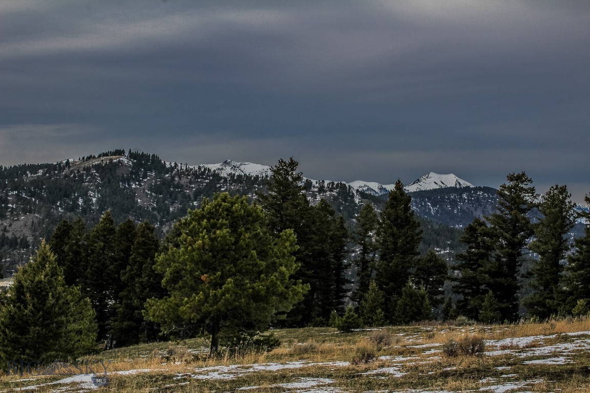 Bozeman